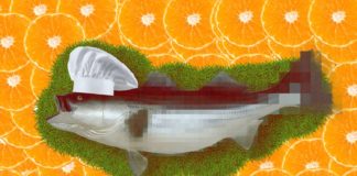 Foodpairing: Informationstechnologie als Ende der Nahrungsmittelverschwendung