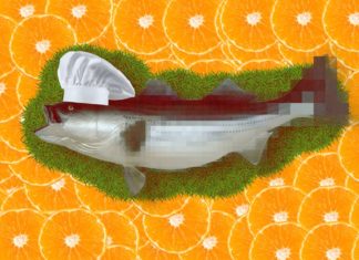 Foodpairing: Informationstechnologie als Ende der Nahrungsmittelverschwendung