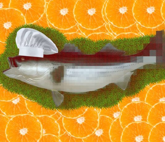 Foodpairing: Informationstechnologie als Ende der Nahrungsmittelverschwendung